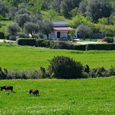 Terra Sessana Ville E Trullo Con Piscina Privata Ostuni Exteriér fotografie