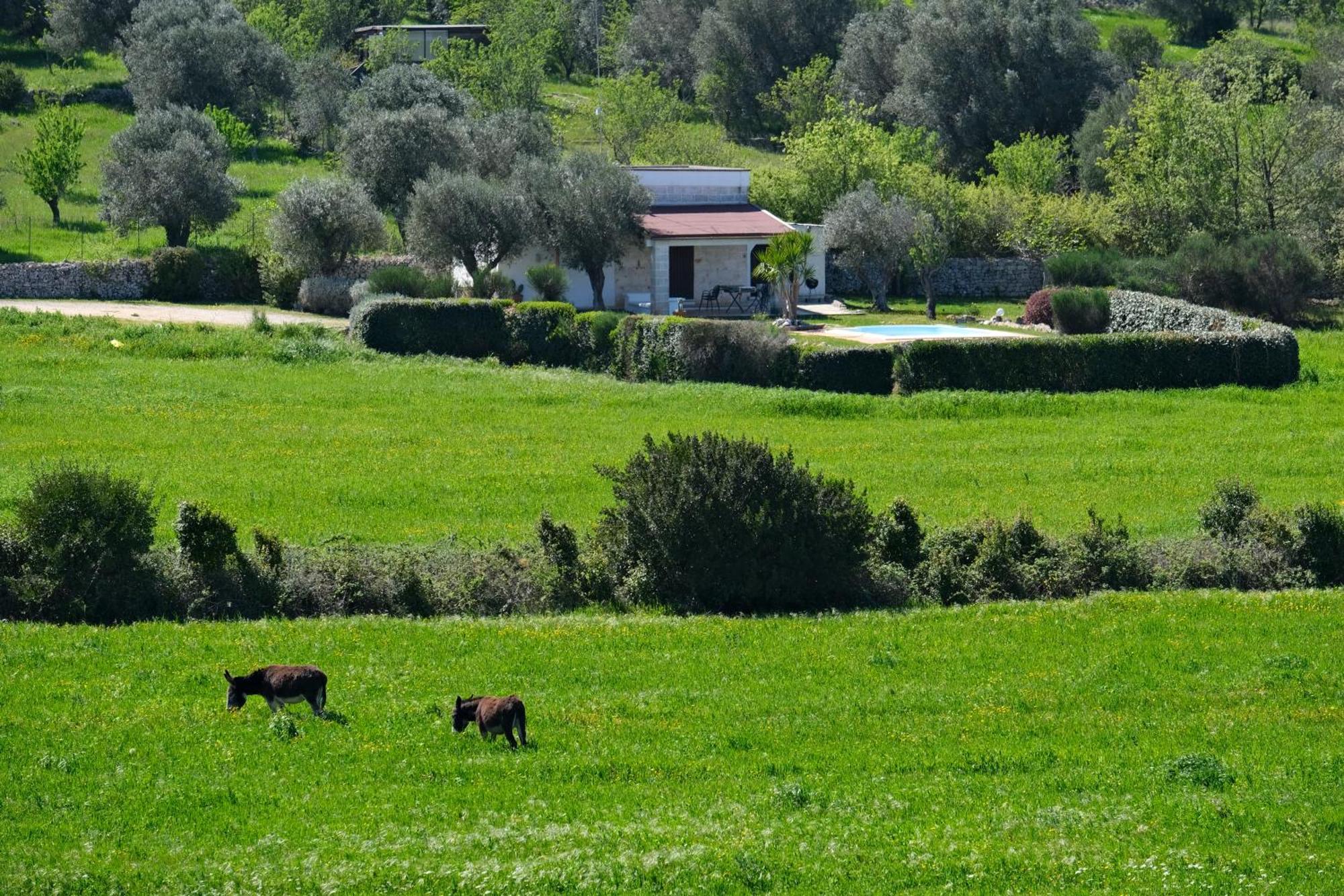 Terra Sessana Ville E Trullo Con Piscina Privata Ostuni Exteriér fotografie